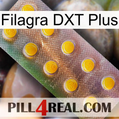 Filagra DXT Plus new11